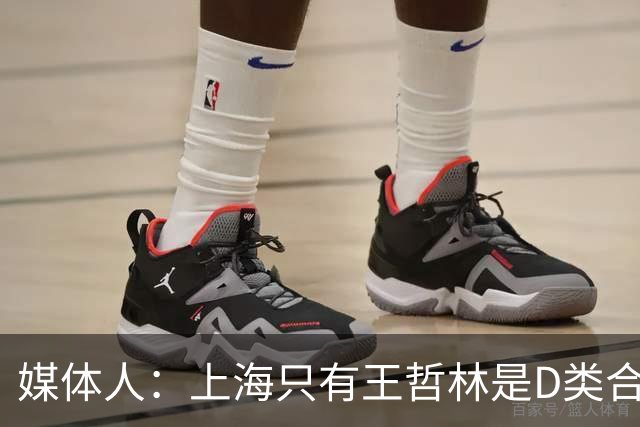 媒体人：上海只有王哲林是D类合同 剩余两个顶薪或给张镇麟李弘权